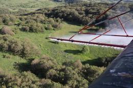 Embarked on aviation-chemical fight against forest pests and diseases in Kotayk and Aragatsotn regions