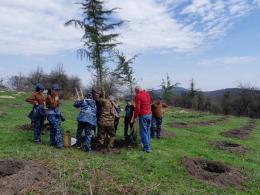 Members of Koghb Art School forestry took part in tree planting at Forestry Training Center of Zikatar
