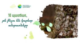March 21 was officially celebrated as International Day of Forests around the world