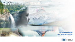 Webinar  on “Towards Zero Pollution in the Eastern Partnership countries”