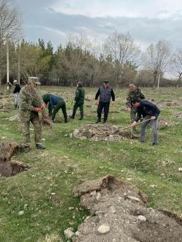 On the eve of the spring tree planting, the Sevan National Park has started a large tree planting