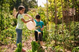 Climate change. How to conduct educational project work